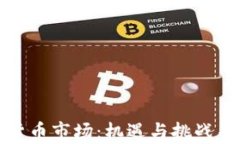 探秘印度加密货币市场：